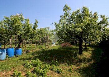 Terreno agricolo Via Fametta, Garbagnate Milanese - foto 10