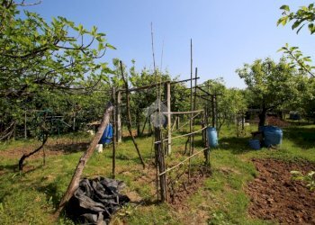 Terreno agricolo Via Fametta, Garbagnate Milanese - foto 11