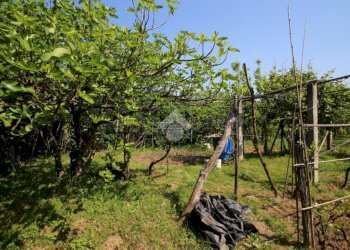 Terreno agricolo Via Fametta, Garbagnate Milanese - foto 12