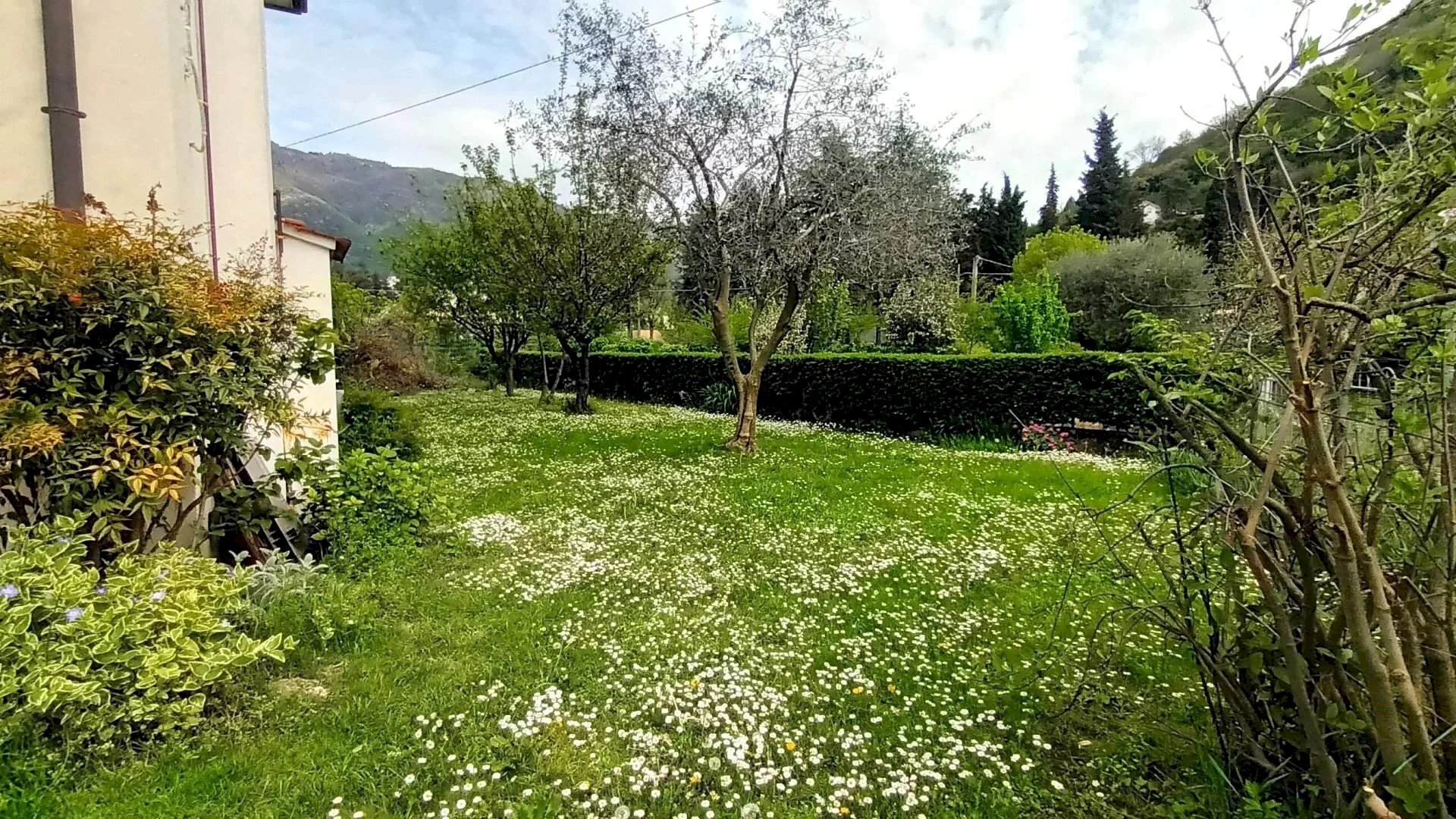 Semi-detached Villa Tarzo - photo 2