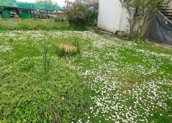 Villa Bifamiliare Tarzo - foto 18