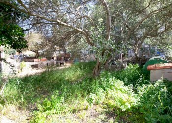 Villa Via dei Gabbiani, Golfo Aranci - foto 4