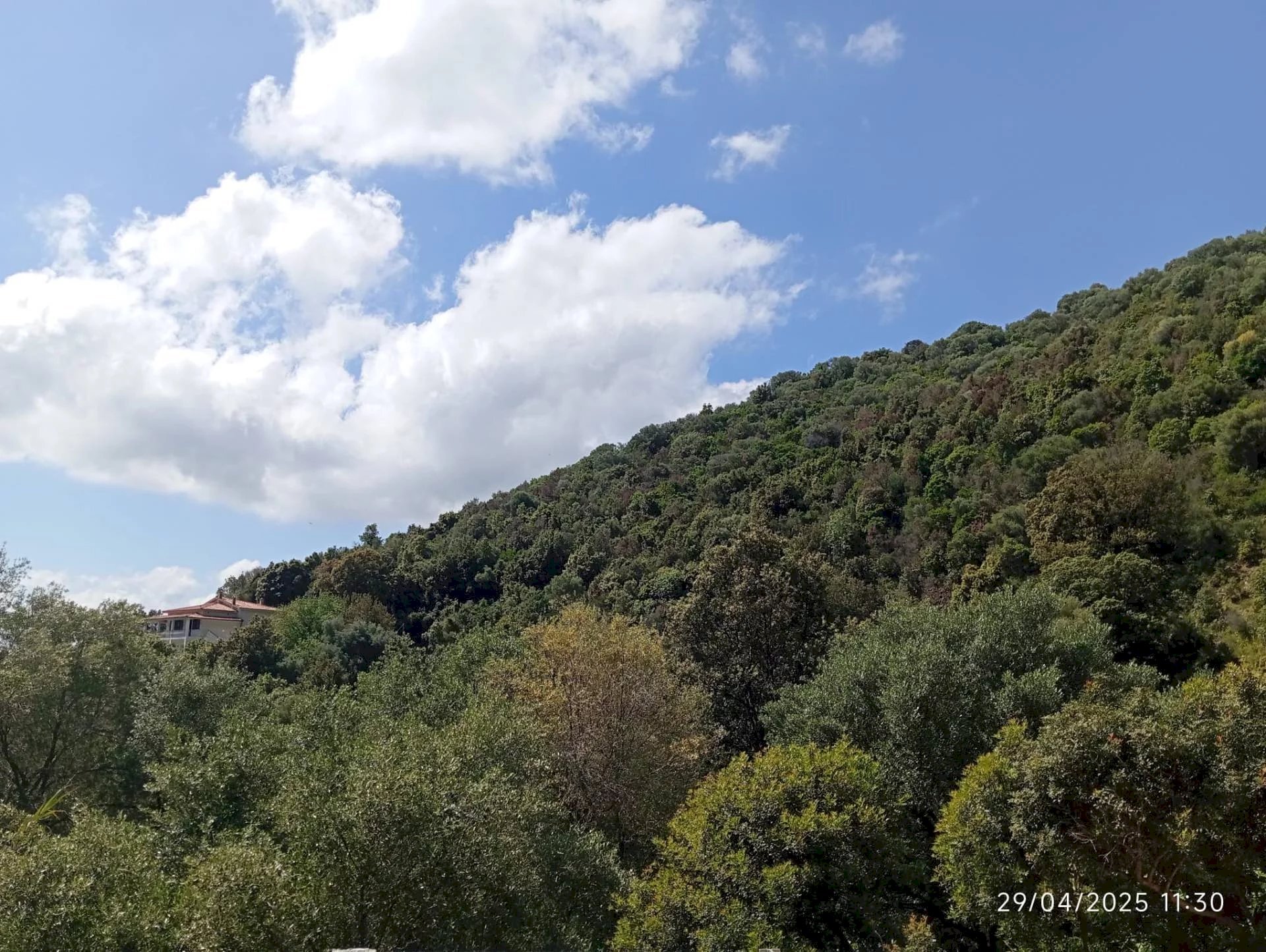 Apartment Torpè - photo 3