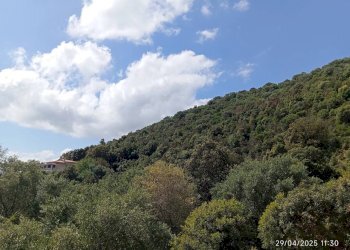 Appartamento Torpè - foto 3