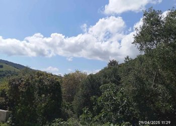 Appartamento Torpè - foto 4