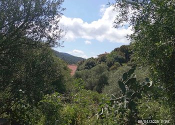 Appartamento Torpè - foto 6