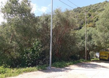 Appartamento Torpè - foto 7