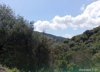 Appartamento Torpè - foto 8