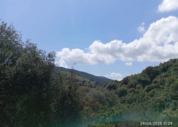 Appartamento Torpè - foto 12