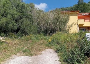 Appartamento Torpè - foto 13