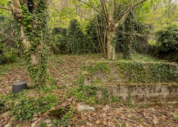 Apartment Frazione Airale, snc, Valloriate - photo 43