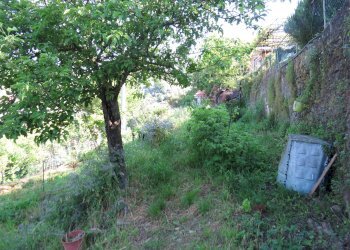 Casa semi indipendente Via Carpenera, Pedegoli, Genova (zona Quezzi) - foto 39