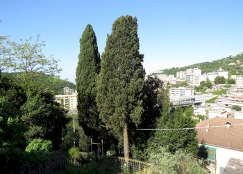 Casa semi indipendente Via Carpenera, Pedegoli, Genova (zona Quezzi) - foto 40