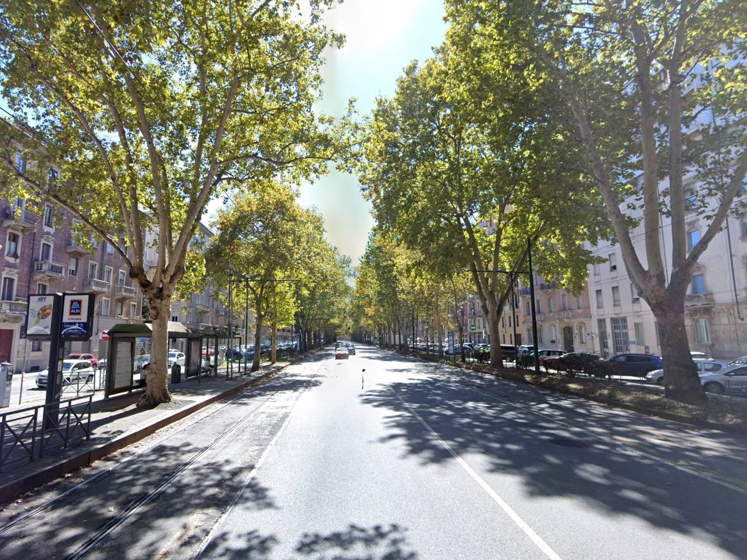 Locale Commerciale Corso Duca Degli Abruzzi, Torino (zona Crocetta) - foto 2