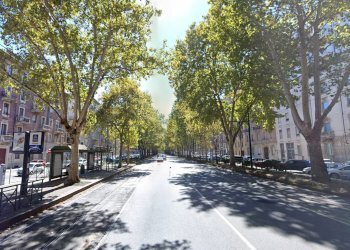 Attività Commerciale Corso Duca Degli Abruzzi, Torino (zona Crocetta) - foto 6