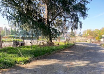 Capannone Via Umbria, San Mauro Torinese - foto 2