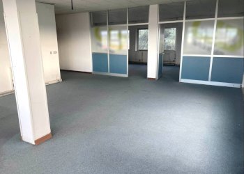 Capannone Via Umbria, San Mauro Torinese - foto 14