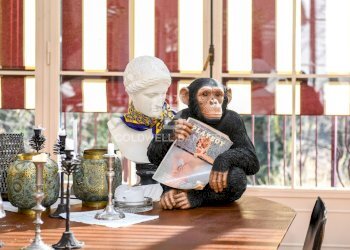 Villa Unifamiliare via G.Scalini, Brunate - foto 14