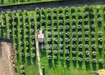 Terreno edificabile Manerba del Garda - foto 5