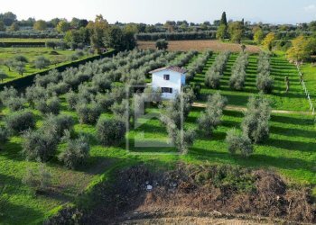 Terreno edificabile Manerba del Garda - foto 8