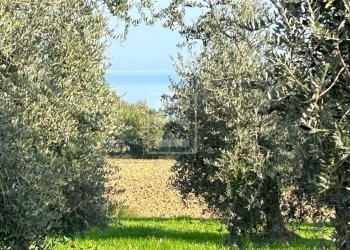 Terreno edificabile Manerba del Garda - foto 9