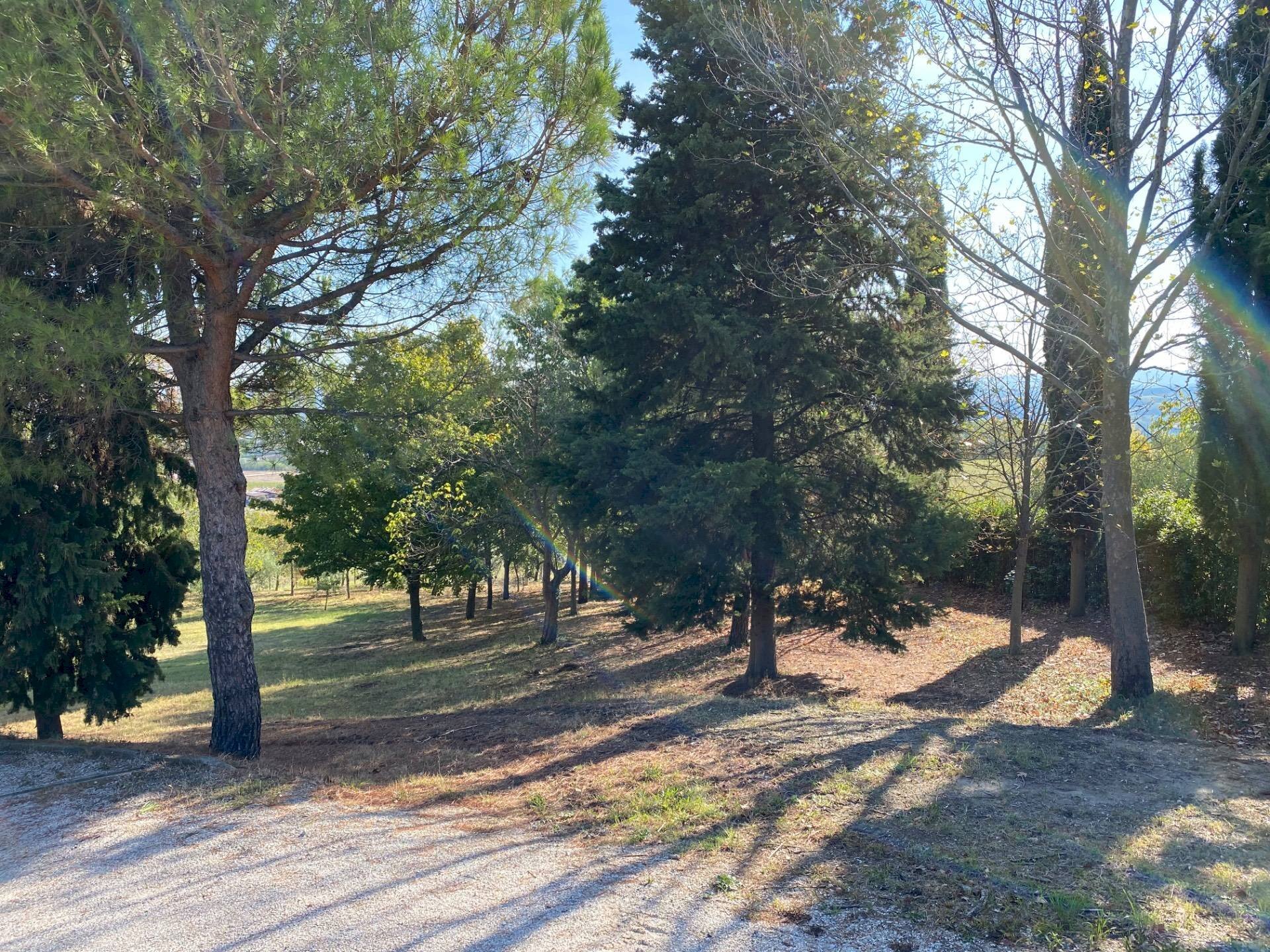 Villa Unifamiliare Via Ciola, Castrocaro Terme e Terra del Sole - foto 3