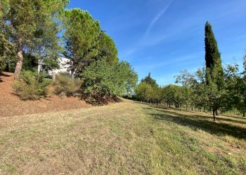 Villa Unifamiliare Via Ciola, Castrocaro Terme e Terra del Sole - foto 7