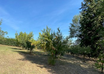 Villa Unifamiliare Via Ciola, Castrocaro Terme e Terra del Sole - foto 12