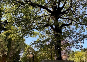 Villa Unifamiliare Via Ciola, Castrocaro Terme e Terra del Sole - foto 25