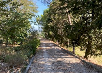 Villa Unifamiliare Via Ciola, Castrocaro Terme e Terra del Sole - foto 27