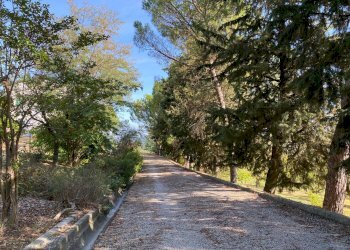 Villa Unifamiliare Via Ciola, Castrocaro Terme e Terra del Sole - foto 28