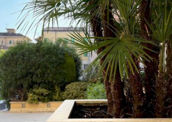 Bilocale Mantova - foto 1