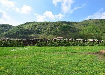 Terreno - Casa indipendente via Divisione Cuneense, 21, Roccaforte Mondovì - foto 26