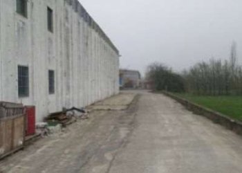 Shed Bomporto - photo 4