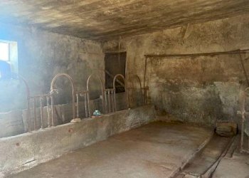 Cantina - Independent house Borgata Costa Soprana, Camerana - photo 35