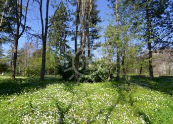 Villa Monterenzio - photo 15