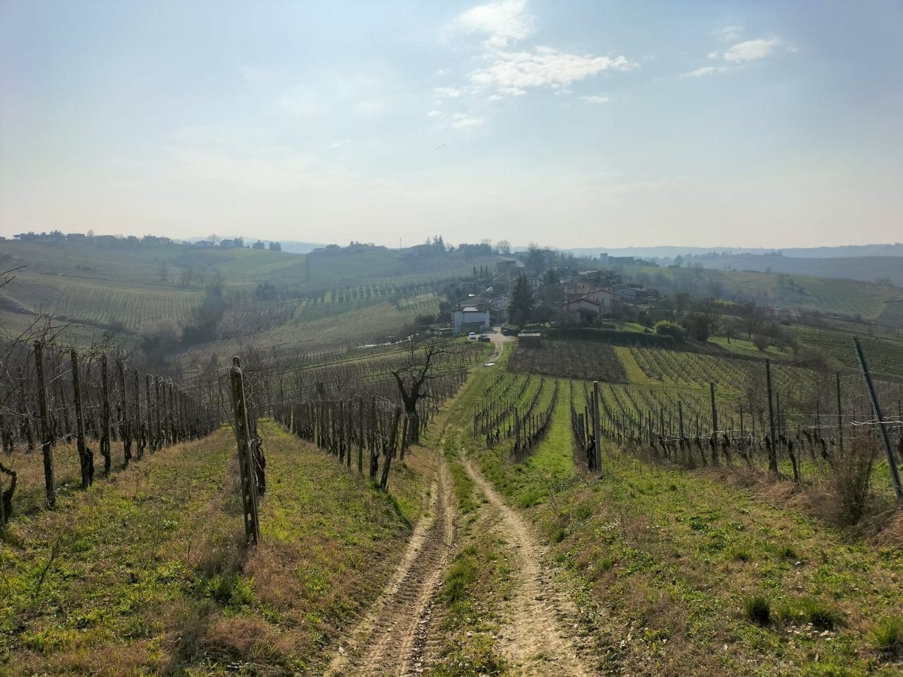 Rustico Ziano Piacentino - foto 2