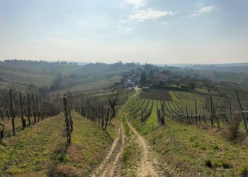 Rustico Ziano Piacentino - foto 2