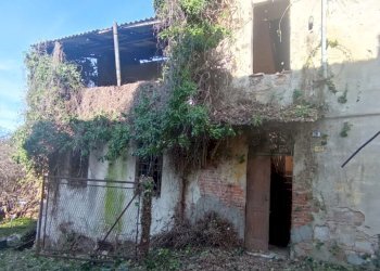 Rustico Ziano Piacentino - foto 3