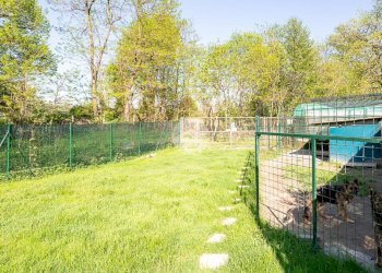 Rustico Via Barra, Cafasse - foto 19