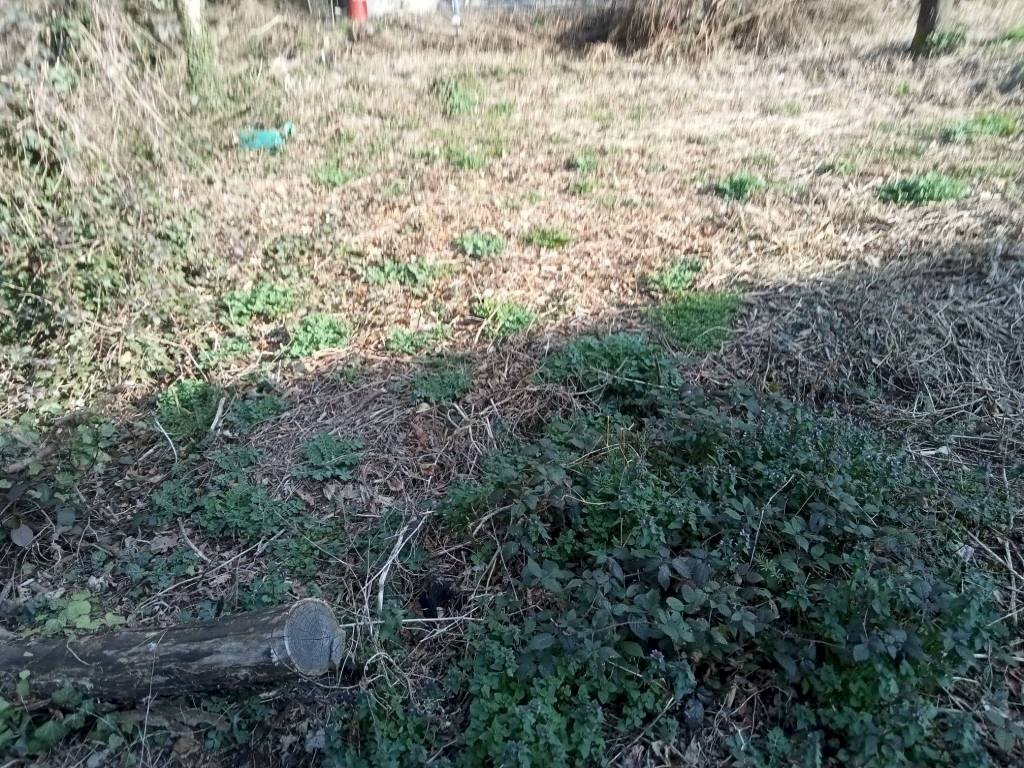 Terreno - Terreno edificabile via Fornace, Somma Lombardo - foto 3