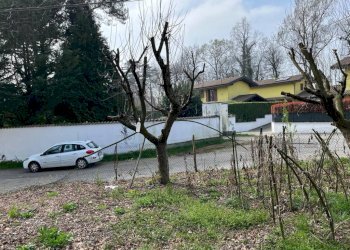 Terreno - Terreno edificabile via Fornace, Somma Lombardo - foto 8