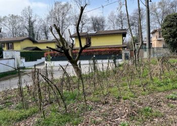 Terreno - Terreno edificabile via Fornace, Somma Lombardo - foto 12