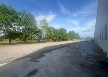 piazzale - Capannone via Provinciale, Valsamoggia - foto 4