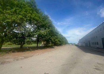 piazzale - Capannone via Provinciale, Valsamoggia - foto 5