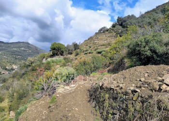Terreno edificabile strada provinciale 62, Dolceacqua - foto 8
