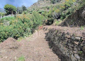 Terreno edificabile strada provinciale 62, Dolceacqua - foto 7