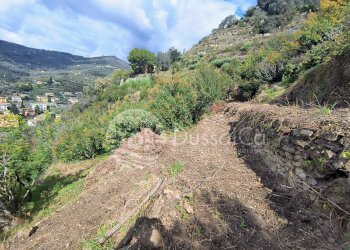 Terreno edificabile strada provinciale 62, Dolceacqua - foto 11