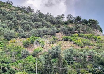 Terreno edificabile strada provinciale 62, Dolceacqua - foto 14