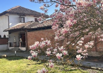 Casa indipendente Via Giuseppe Trombetta, 153, Rocchetta Tanaro - foto 1